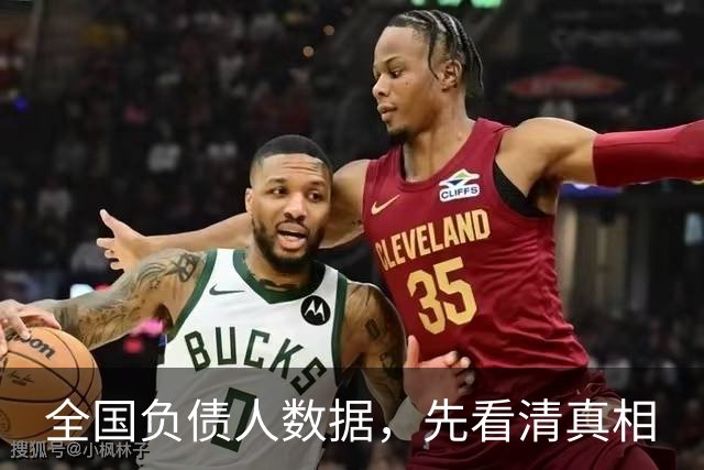 全国负债人数据，先看清真相
