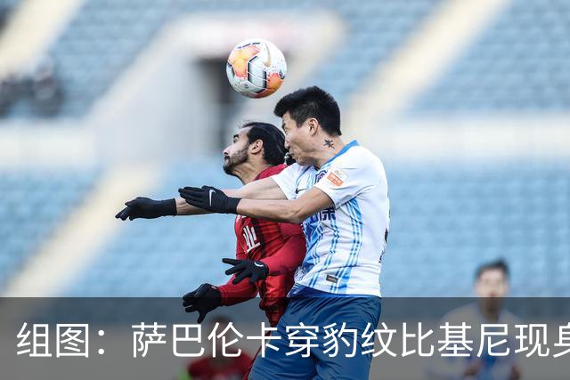 组图：萨巴伦卡穿豹纹比基尼现身海边 展示曼妙曲线